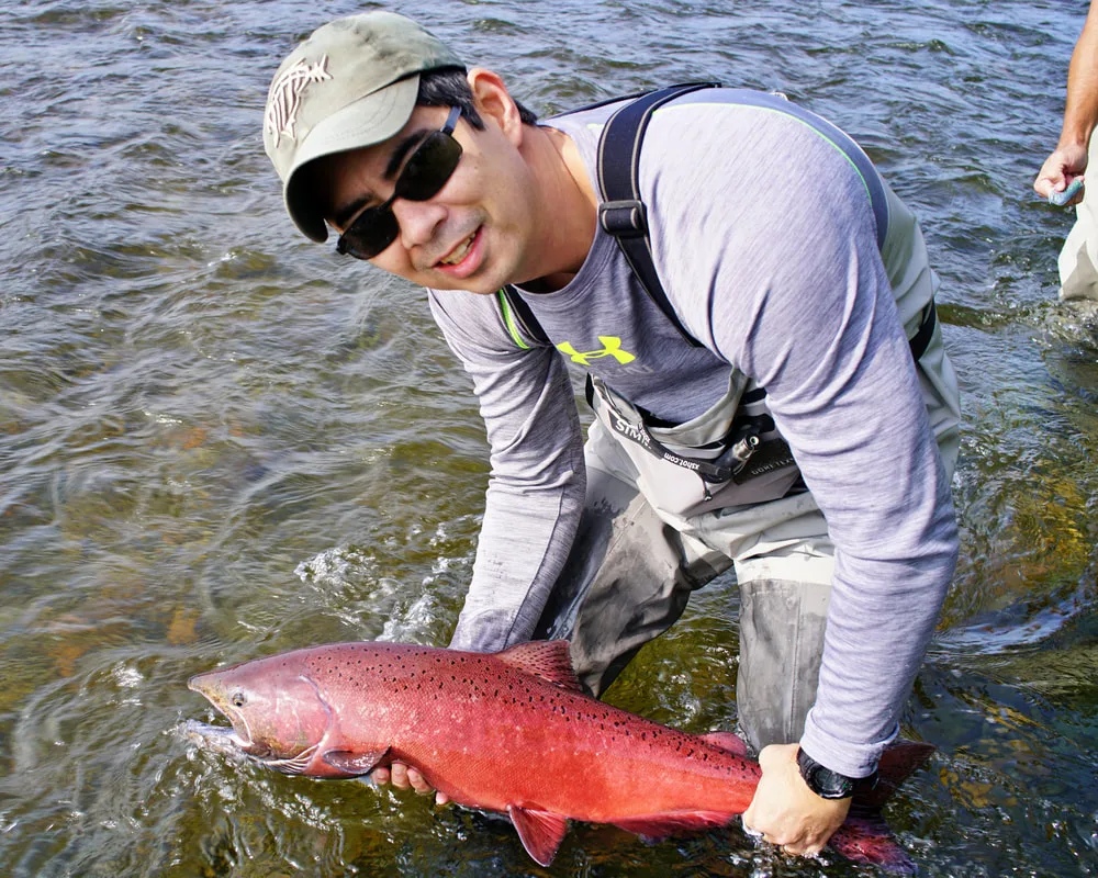 King Salmon caught on a bead