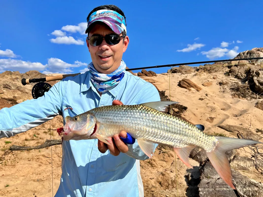 Small Tiger caught on a fly in Tanzania