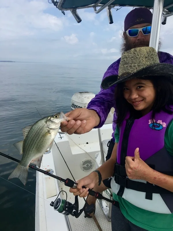 Schooling White Bass are a great way to get kids into fishing