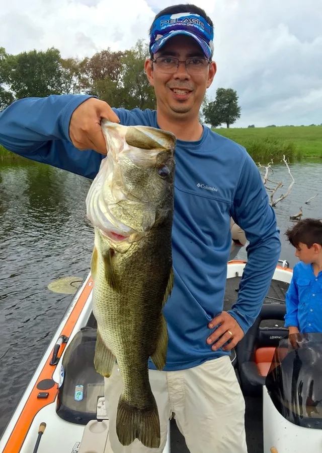 Big largemouth bass caught on a 7