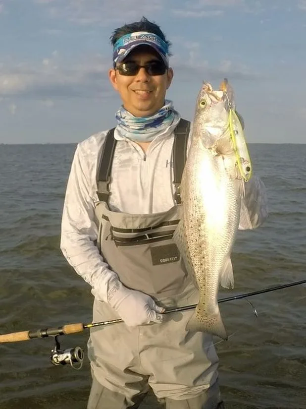 Big Speckled Trout also love topwaters