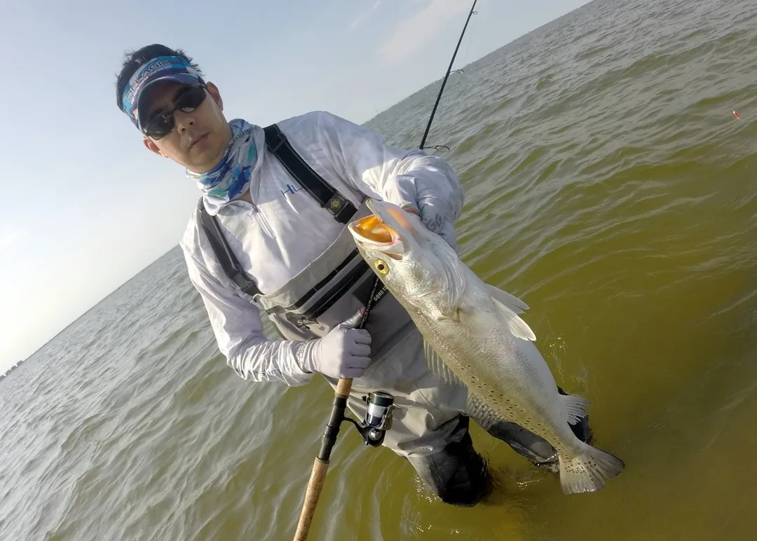 Preparing to release a big Speckled Trout