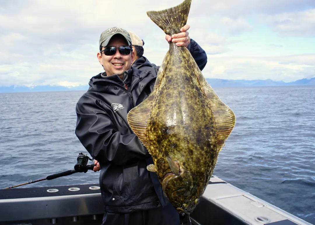 A tasty Pacific Halibut caught near Admiralty Island, Alaska