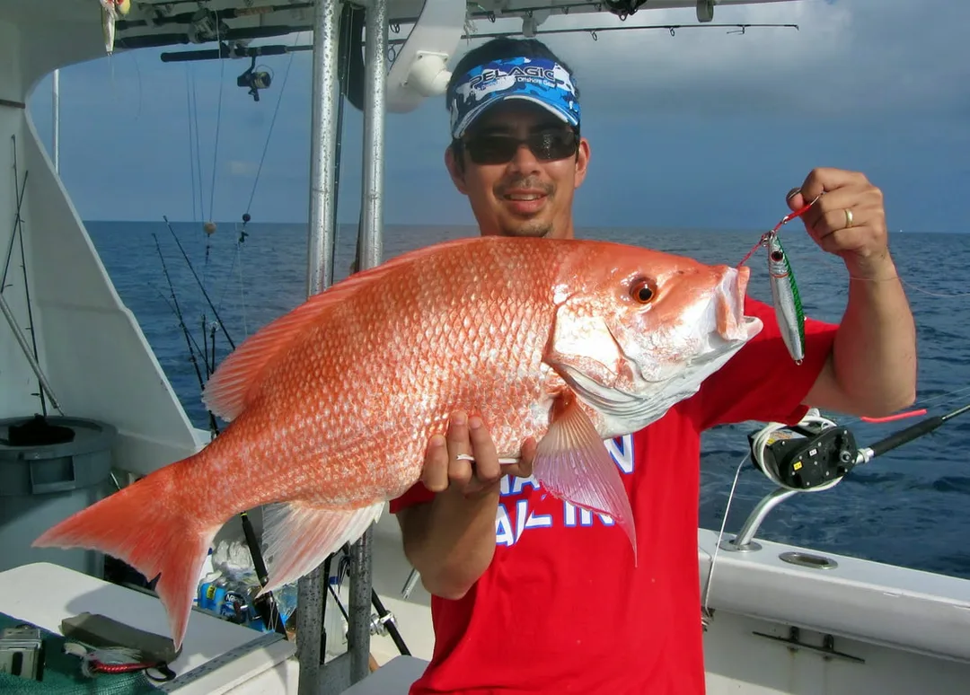 A Red Snapper caught off the Dry Tortugas Islands, Florida on a metal jig worked relatively quickly in the middle of the water column