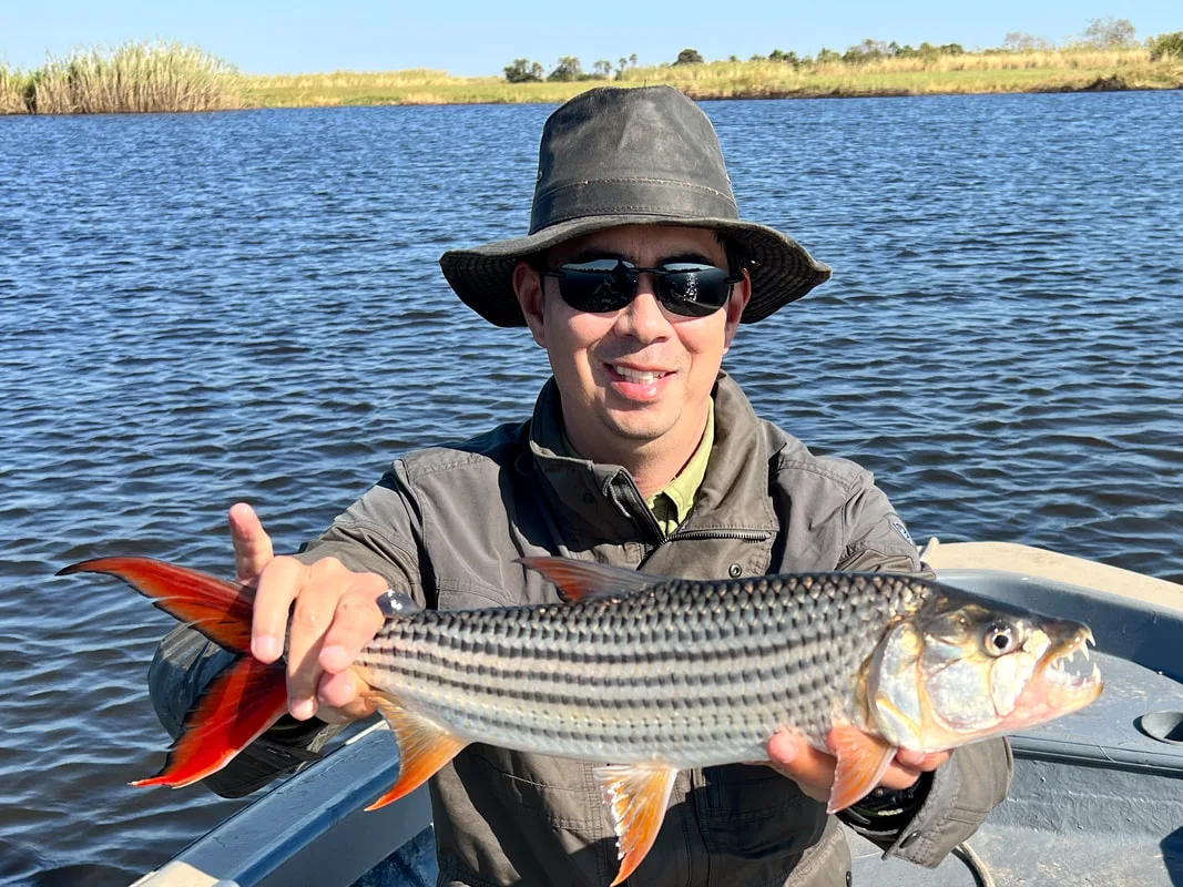 An example of H. vittatus from Botswana. My first Tigerfish