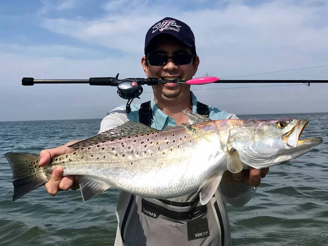 This sums up what is fun about speckled trout fishing - getting in and wading, throwing topwaters, and catching nice fat fish like this one caught in Matagorda Bay, Texas