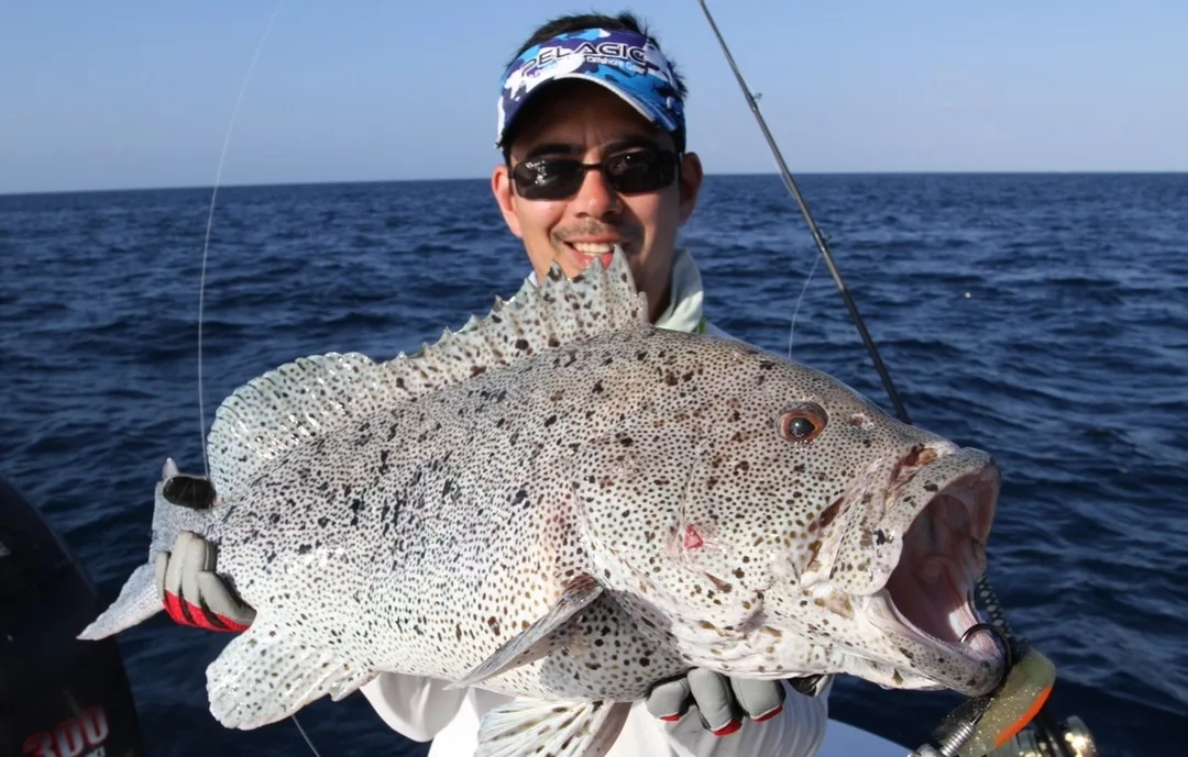 One of the better looking cods - the prized Blue Maori Cod