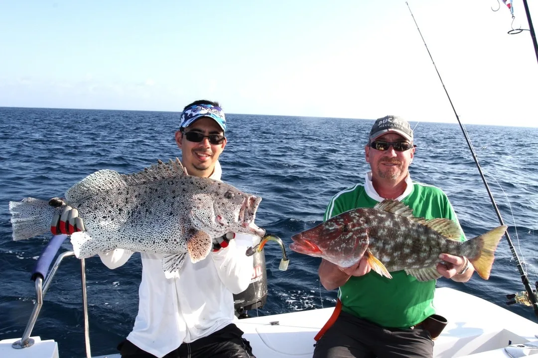 A great double-header of a grouper on the left and an emperor on the right.  Caught jigging the bottom off the Great Barrier Reef in Northern Australia.