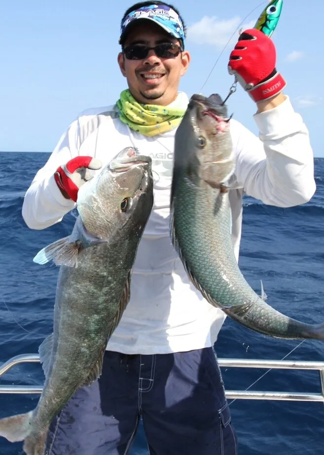 One of the author's most memorable casts ever; this stickbait accounted for two large Green Jobfish on the same lure on the Great Barrier Reef, Australia