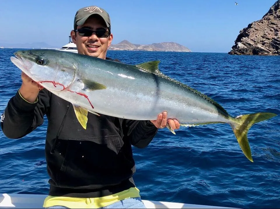 A hefty homeguard yellowtail caught at the Coronado Islands on a sardine.