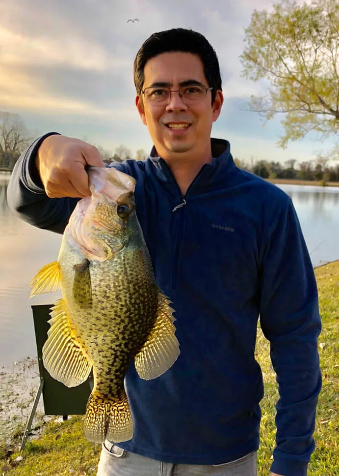 Large Black Crappie caught in Texas on a Keitech shad.