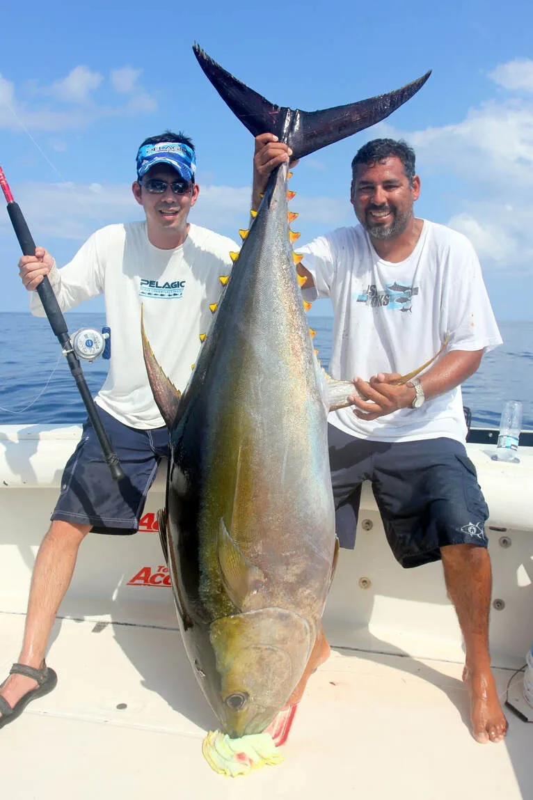 220lbs of Yellowfin sashimi caught in Puerto Vallarta, Mexico