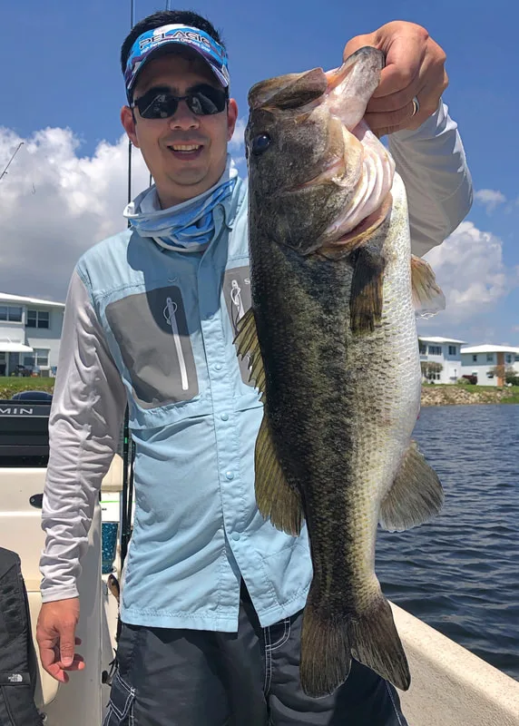 A nice healthy bass from South Florida caught on a live shad.