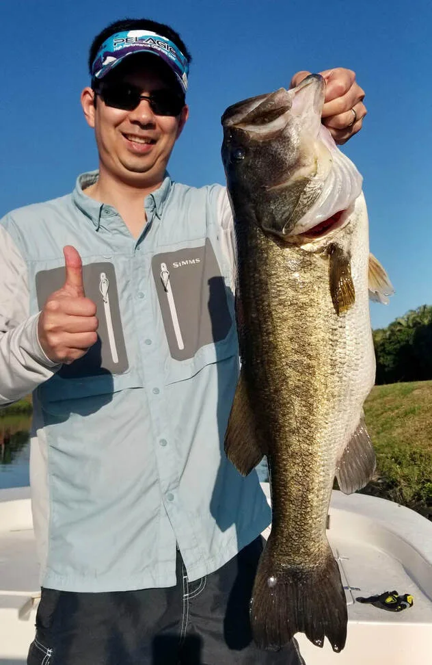 This big bass ate a live Shad in South Florida.  There are some big girls down there.