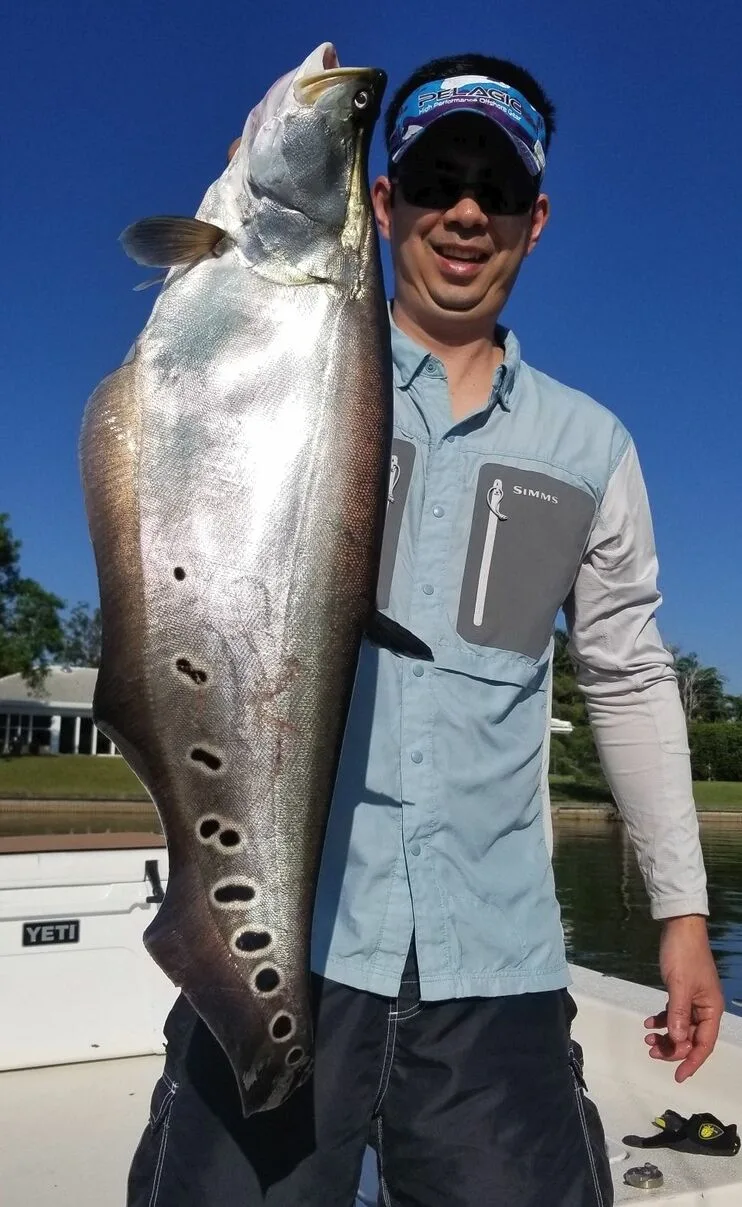 A nice sized Clown Knifefish caught on a shad in Florida