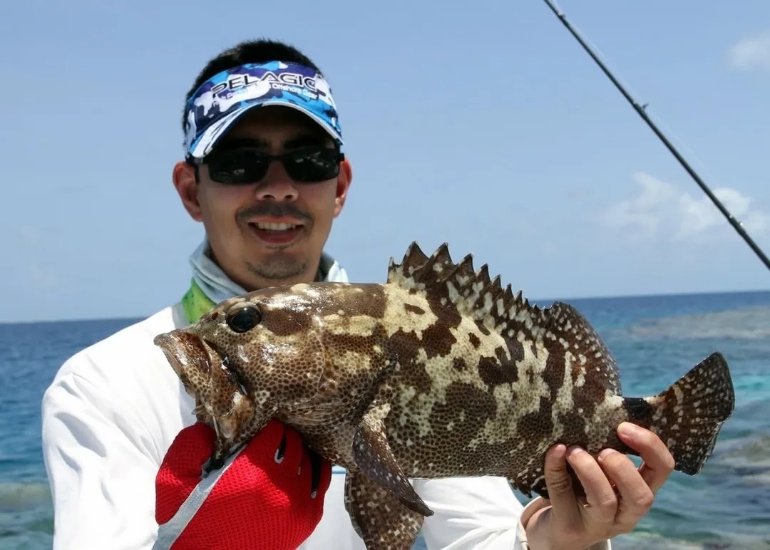 A small Camouflaged Rockcod, another commonly caught Cod.  Distinguished from the similar Flowery Cod by, among other things, the black splotch between its soft dorsal and tail fins.