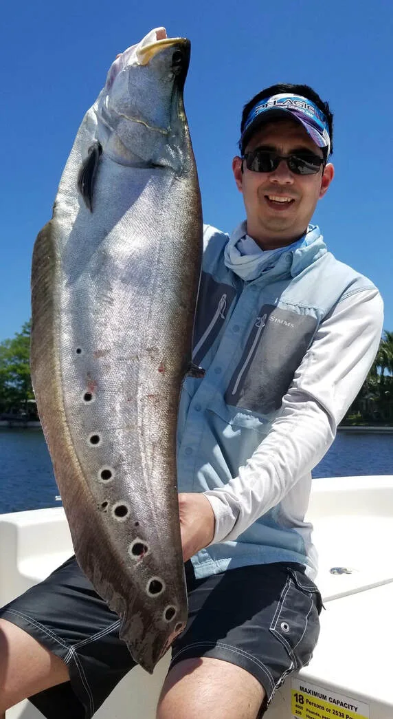 My personal best Clown Knifefish caught on Lake Ida in Florida