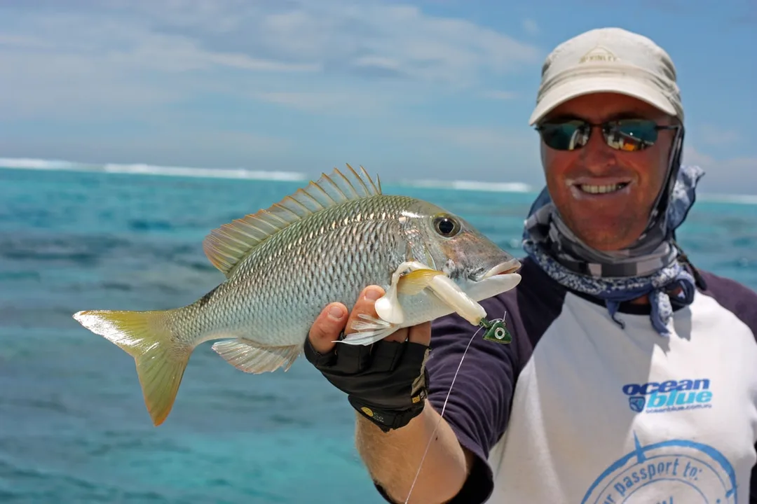 A nice Emperor caught swimming a plastic near the rocks in New Caledonia.