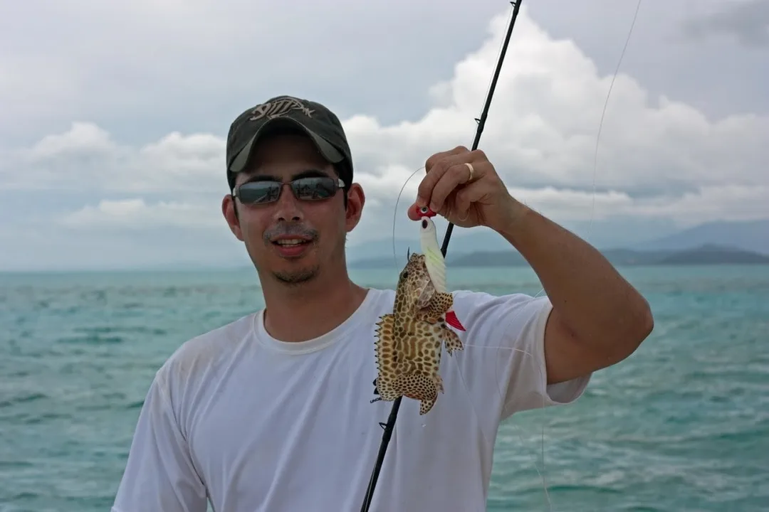 Cod have big mouths and big appetites, even at a young age.