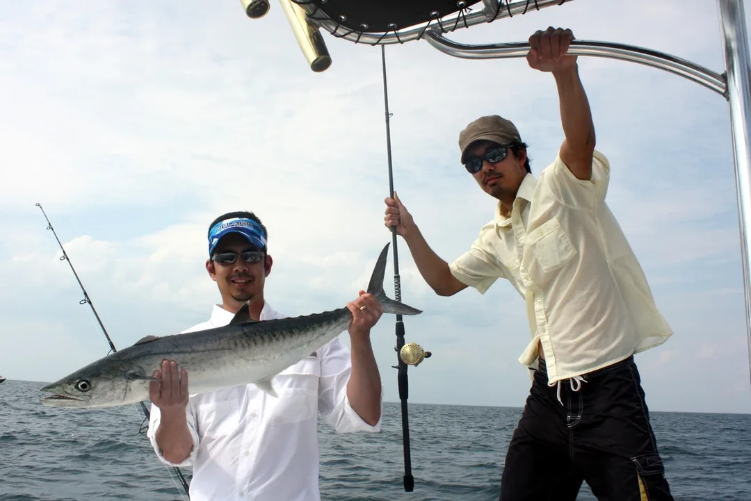A school-sized King Mackerel caught near Boca Raton, Florida.  Incredibly, immediately upon release, this fish was cut in half right by the boat by an enormous Great Barracuda