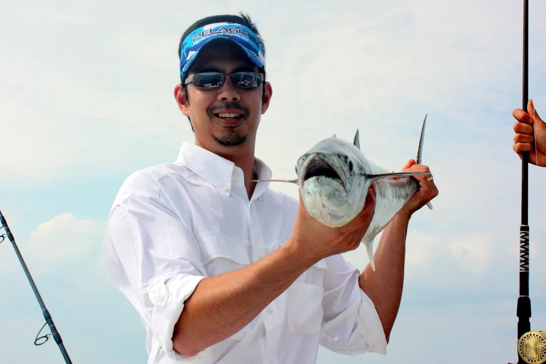 King Mackerel's mouths are packed with small razor-sharp teeth.