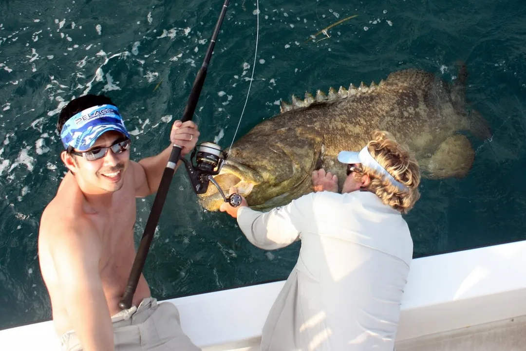 A nice Goliath caught on a spinning rod