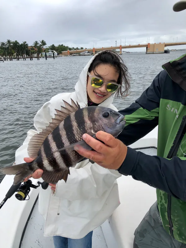 Being a nearshore fish that readily bites bait put in front of them, Sheepshead can be a good fish to start kids on fishing.