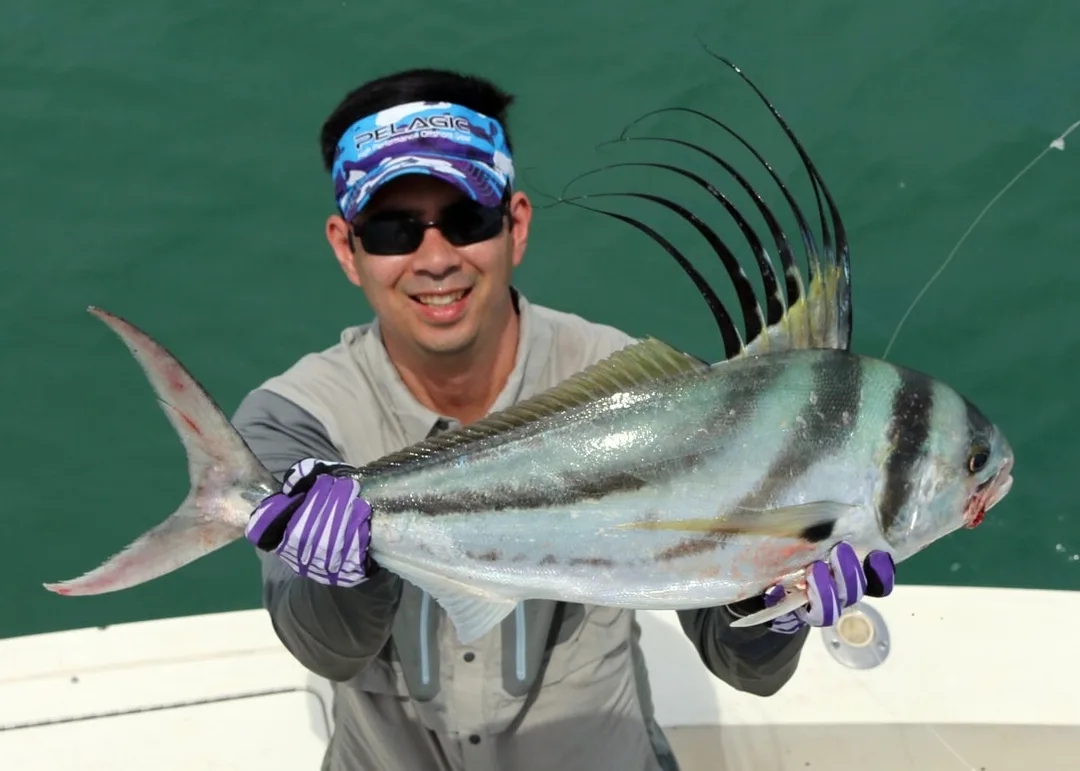 Roosterfish on popper