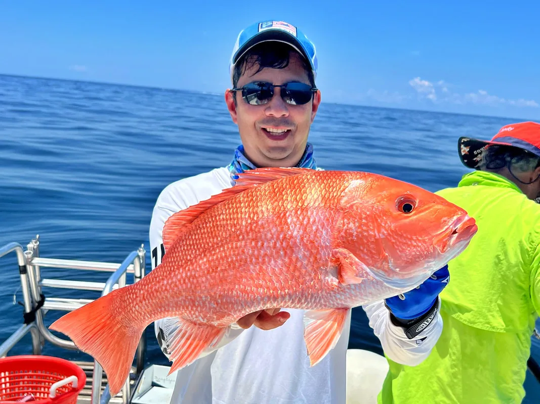 A beautifully colored Red Snapper caught in the Gulf of Mexico