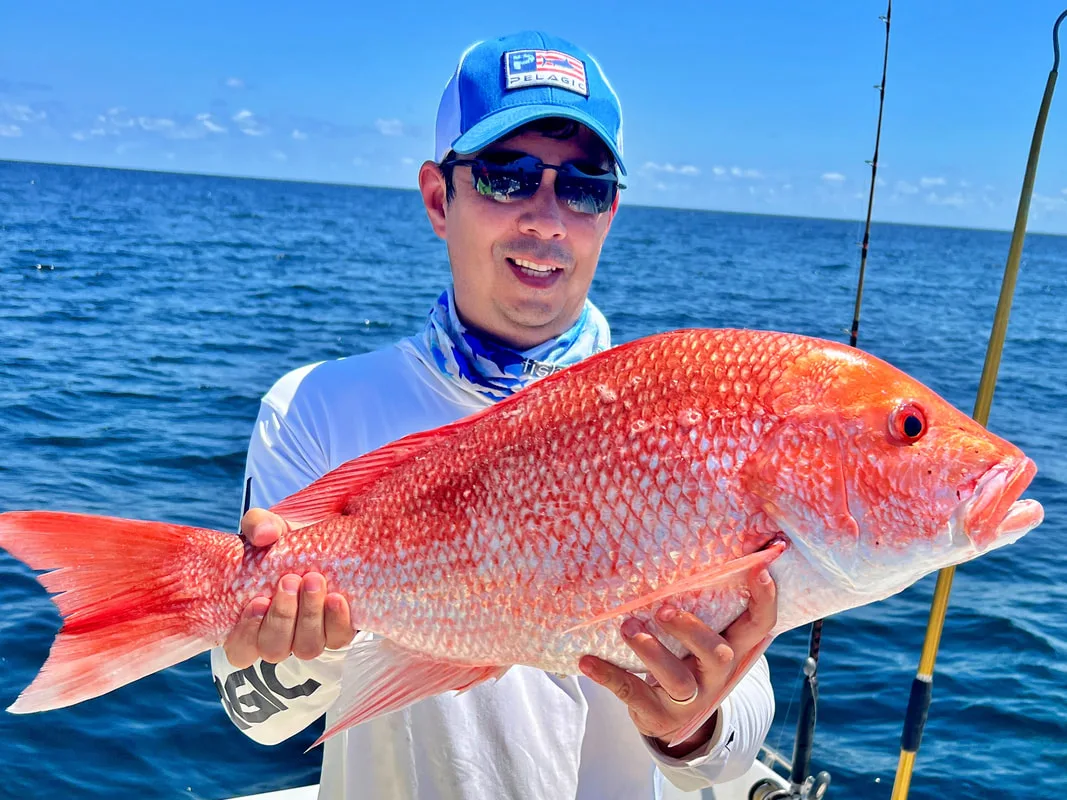 A striking Red Snapper caught in Texas.