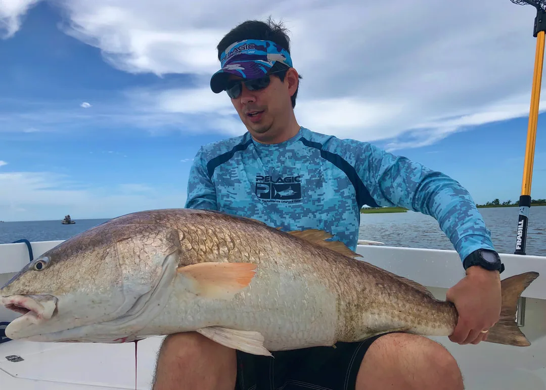 Another Louisiana marsh monster Redfish
