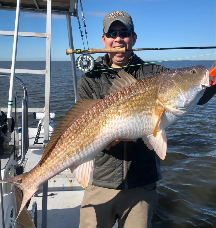 Redfish readily take flies