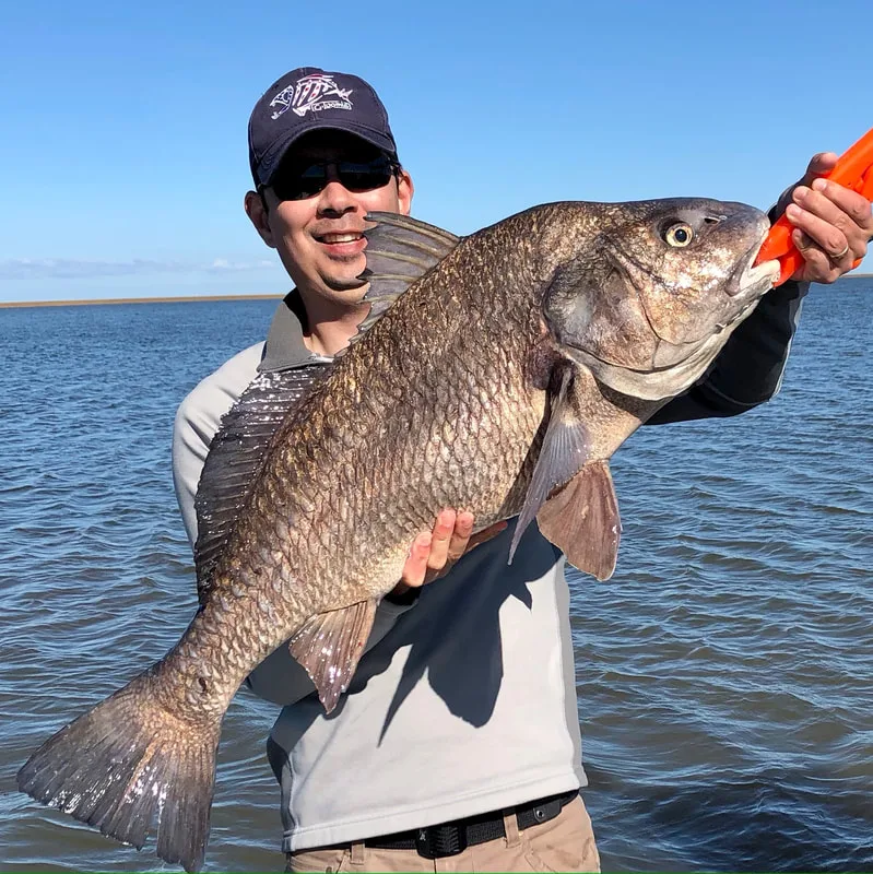A darker specimen caught in Louisiana on a Chatterbait