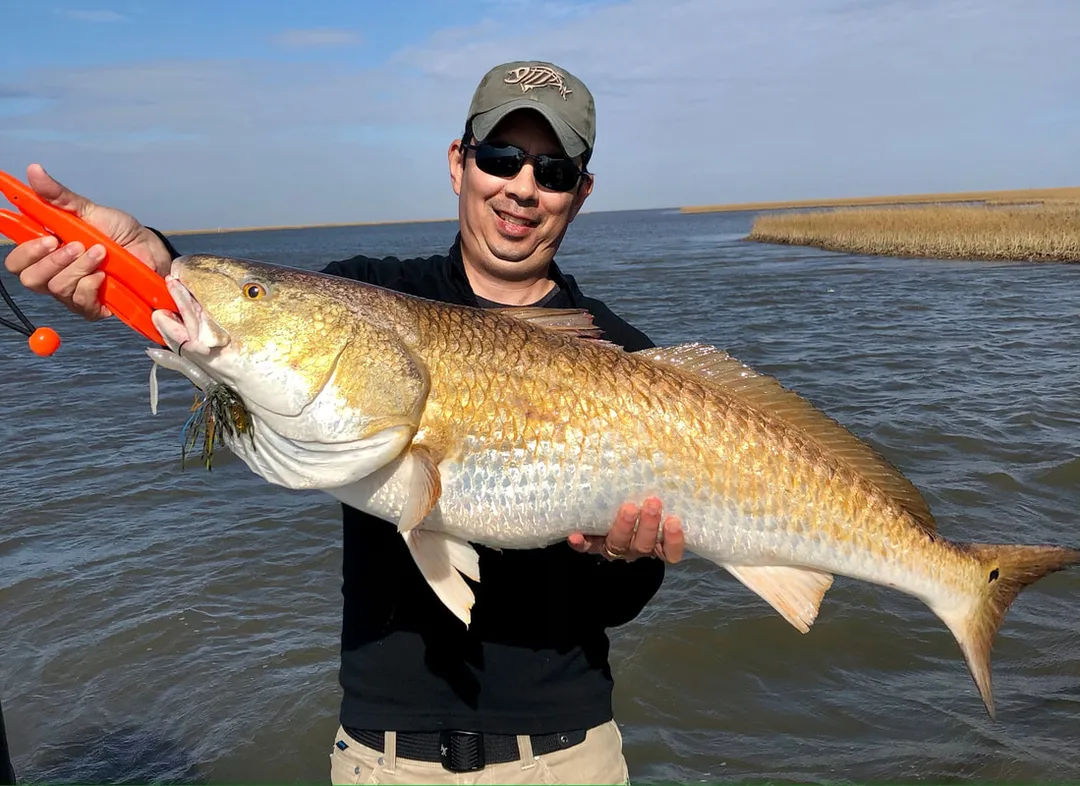 Last fish of the trip, with the Chatterbait still in its mouth.