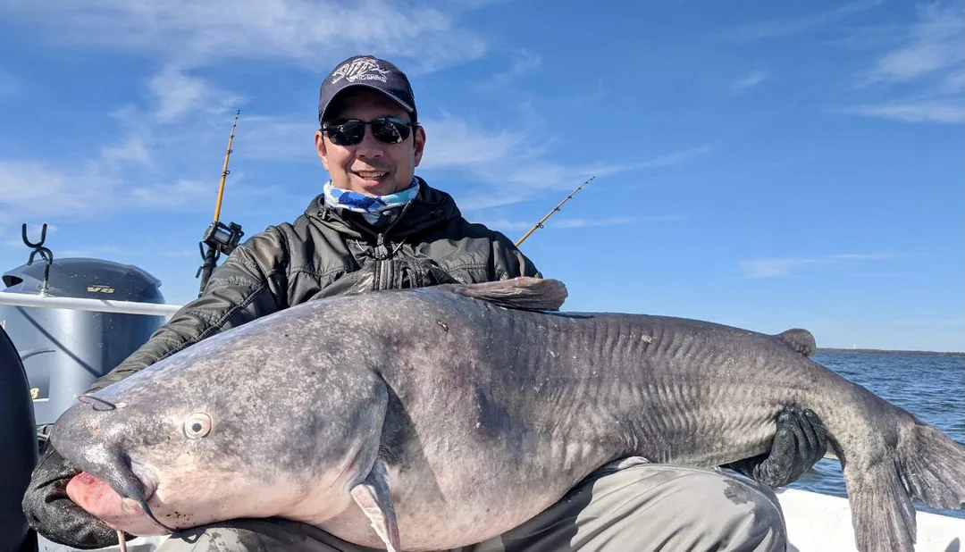 The author's personal best Blue Catfish, caught on Lake Tawakoni, Texas