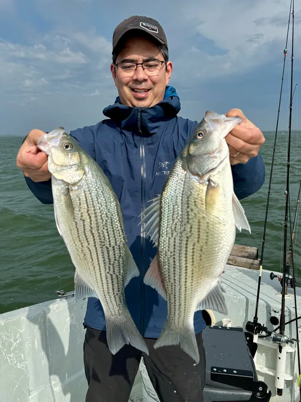 Back to back fish caught in a hot bite before release
