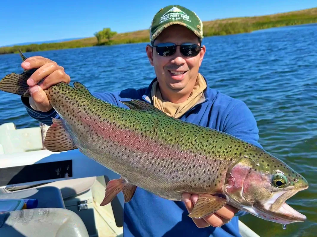 Rainbow Trout in Montana