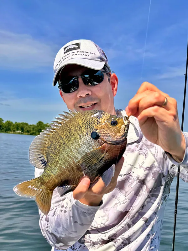 A nice specimen caught drop-shotting small plastic worms on ultra light gear in Lake Athens, Texas