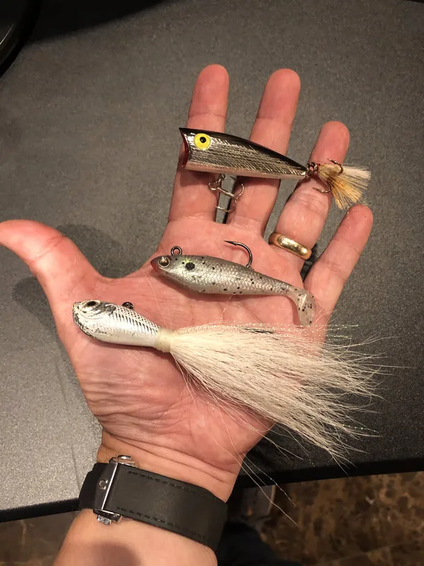 Shad imitations for Hybrids that cover the water column - topwater popper, swimbait for mid-depth, larger bucktail jig for fish on the bottom