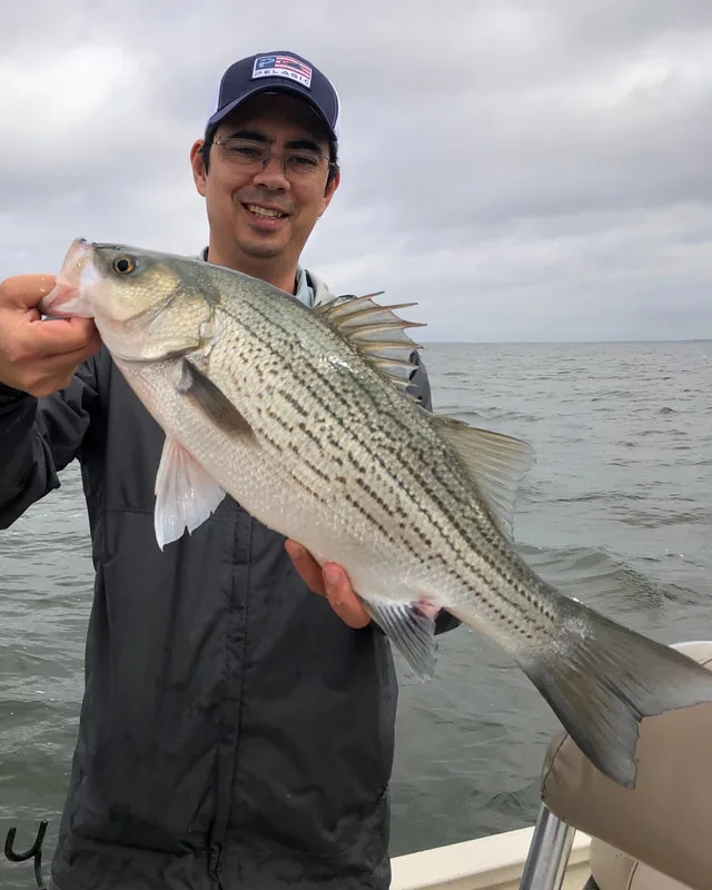 Biggest Hybrid of the trip.  This guy peeled a lot of drag.