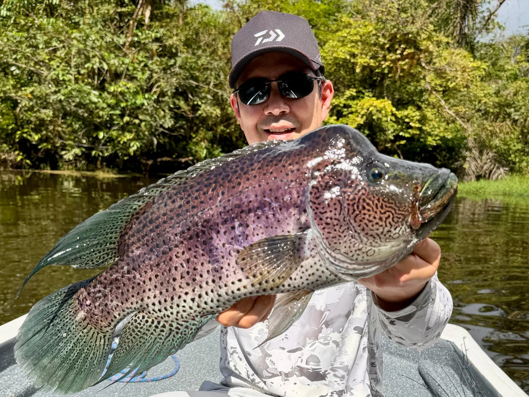 An absolute giant Rainbow Bass