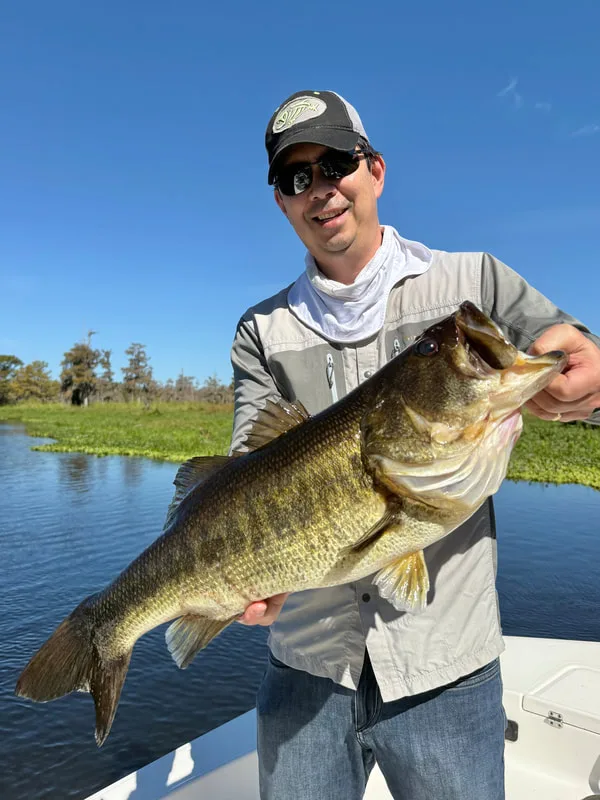 Another Florida giant bass