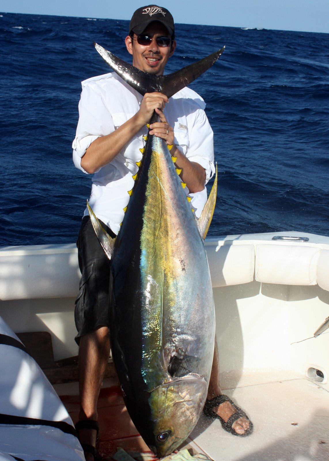 A beefy Mexican Yellowfin