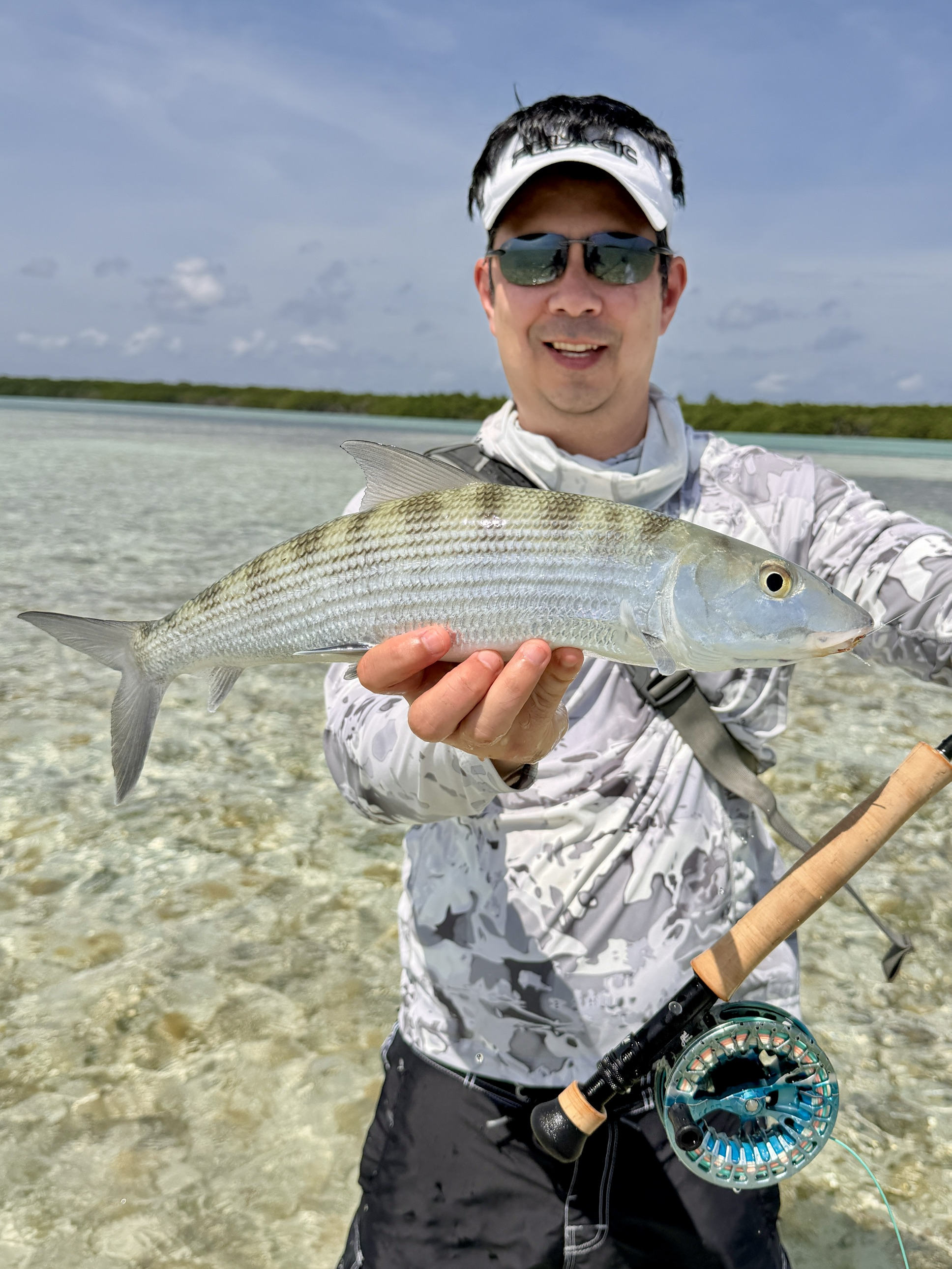 A healthy Bonefish landed on a shrimp fly in Belize