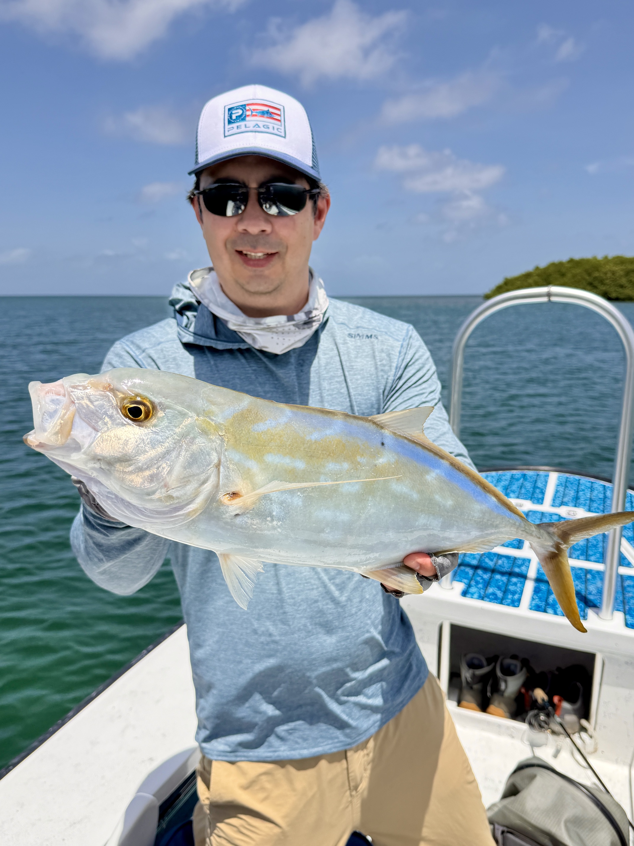 Beautiful Yellow Jack caught on a Yo Zuri Crystal Minnow