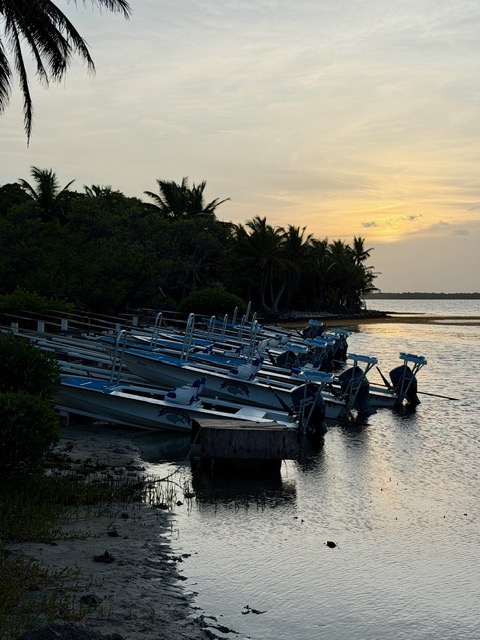 Sunset at Turneffe Flats Lodge