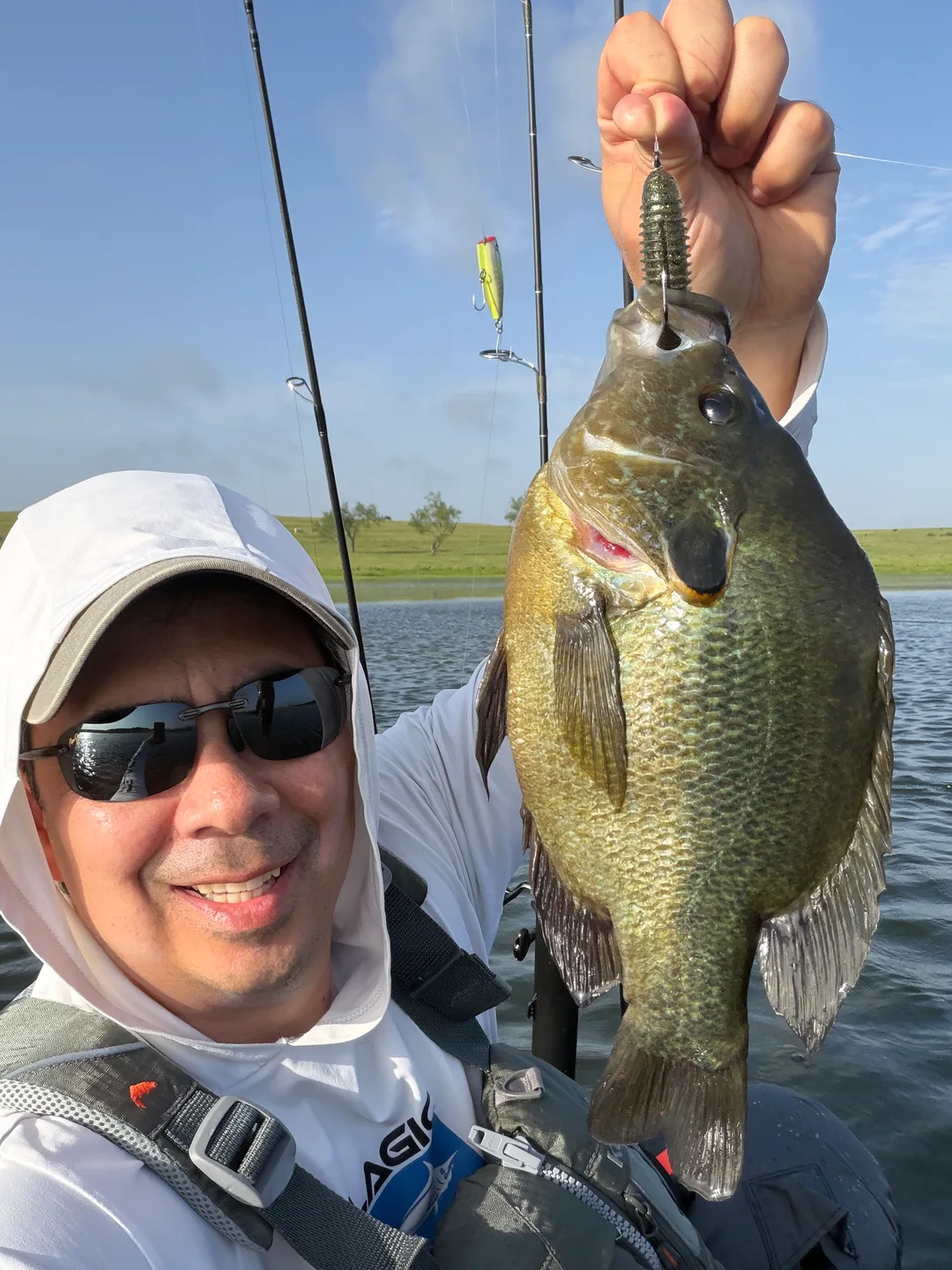 Huge panfish