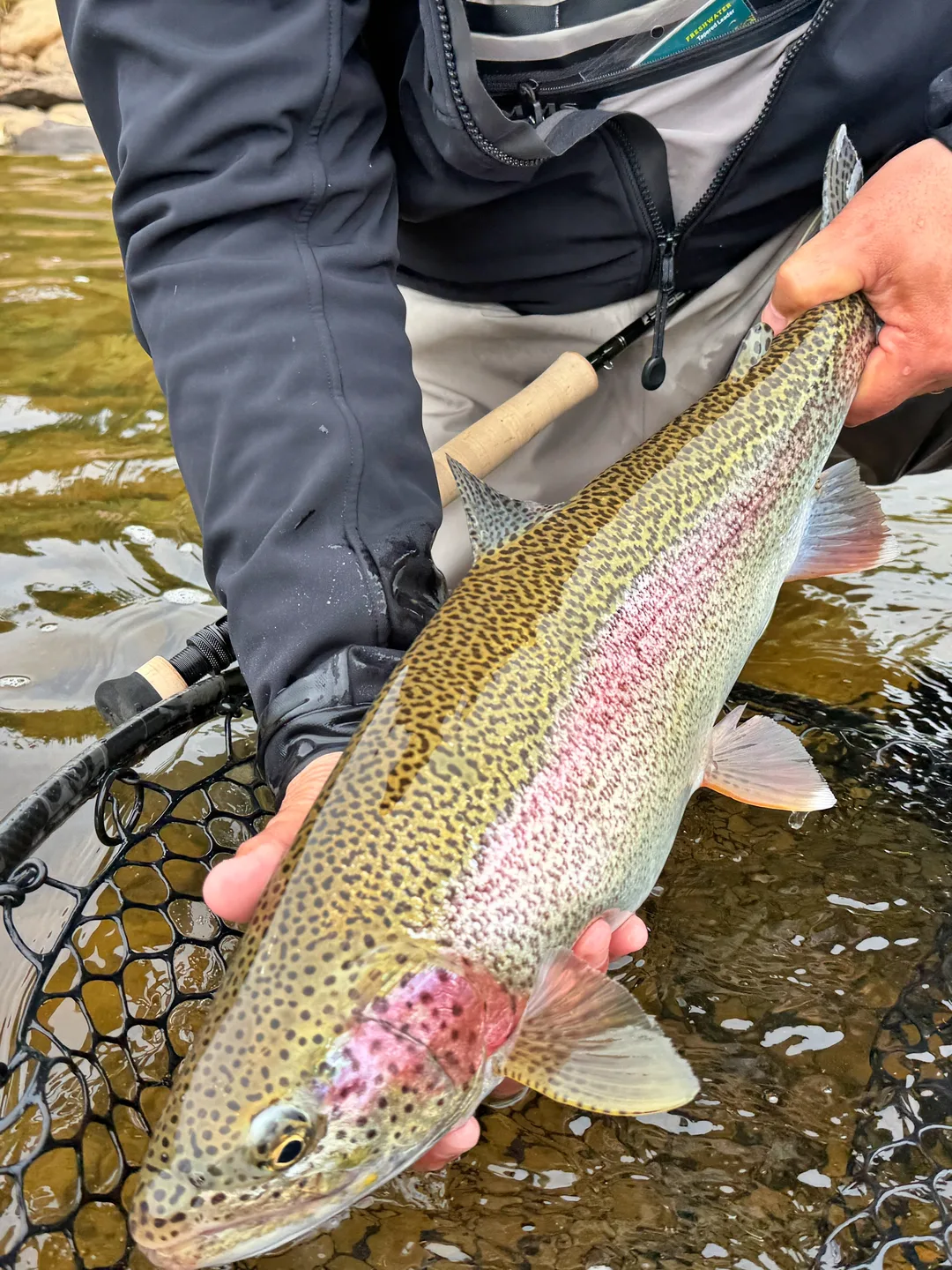My biggest Rainbow of the last day
