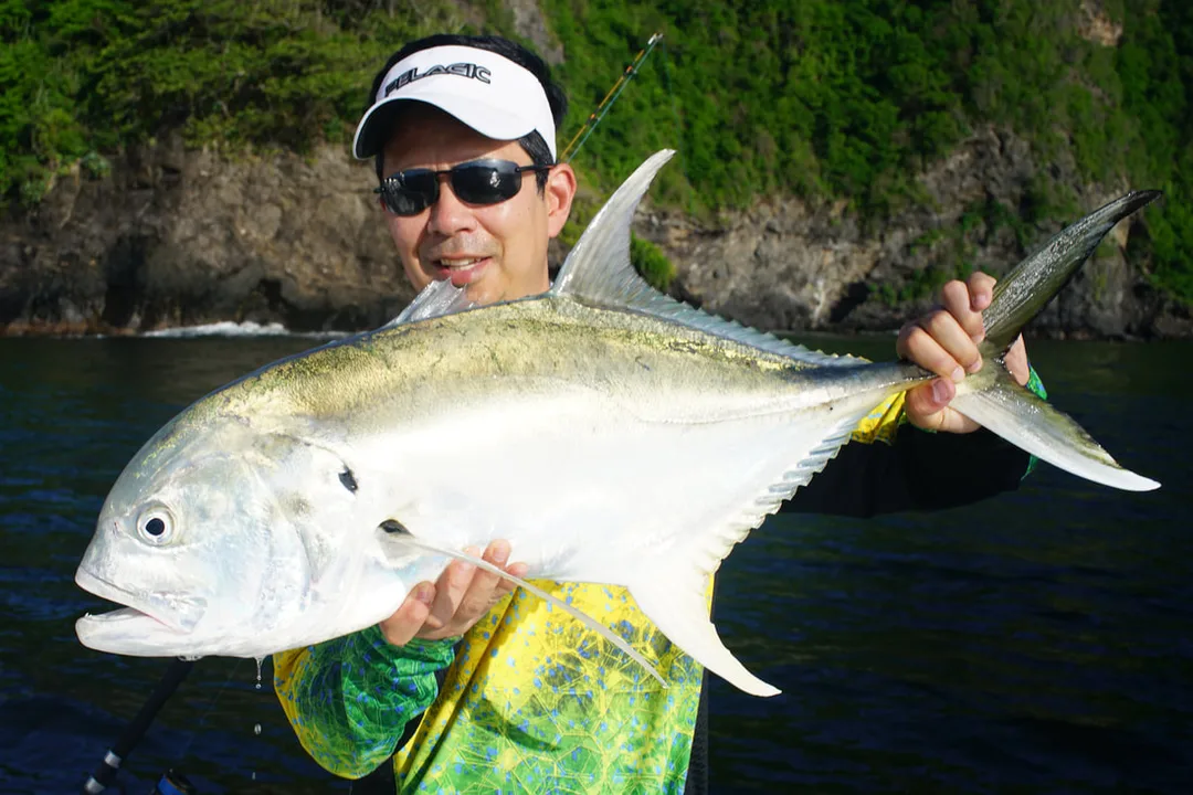 A nice Jack in Trinidad that ate a sardine meant for a Tarpon