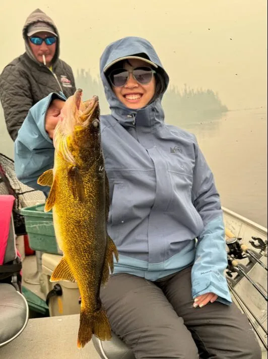 A nice Canadian Walleye caught on a crankbait. 